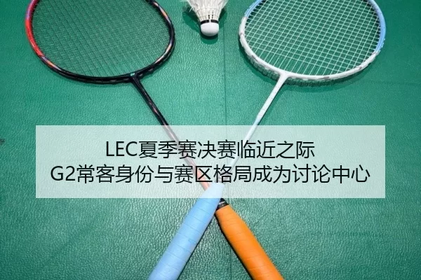 LEC夏季赛决赛临近之际 G2常客身份与赛区格局成为讨论中心