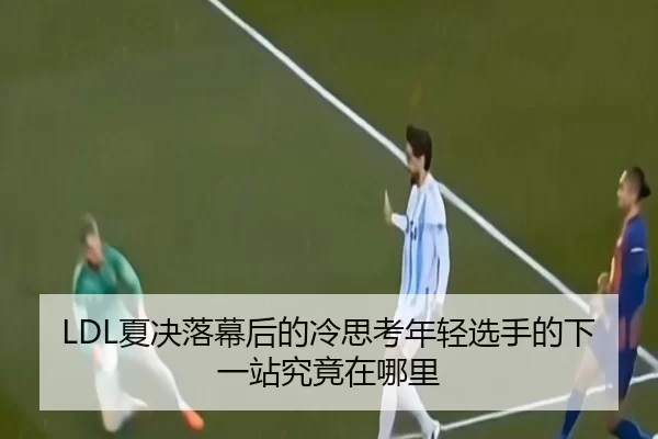 LDL夏决落幕后的冷思考年轻选手的下一站究竟在哪里